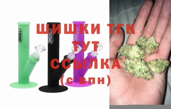 дмт Дмитровск