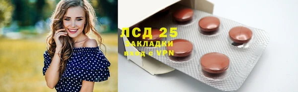 дмт Дмитровск