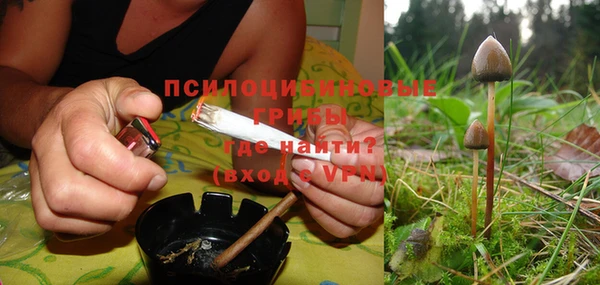 дмт Дмитровск