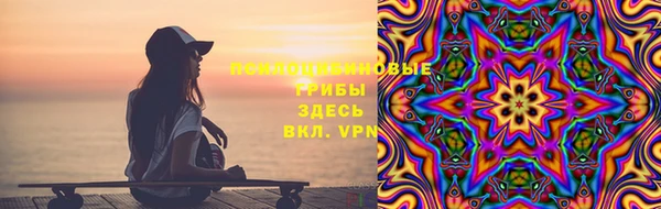 PSILOCYBIN Дмитров