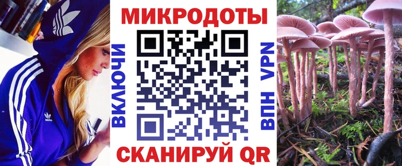 Псилоцибиновые грибы Psilocybe Сертолово